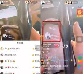 仙家主播爆料视频大全集,揭秘网络神秘世界